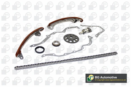 Timing Chain Kit (WG1488174)