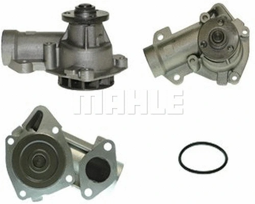 Water Pump, engine cooling (WG2181620)