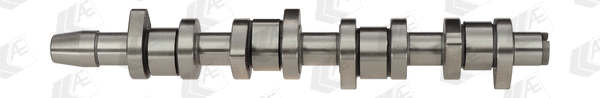 Camshaft (WG1093073)