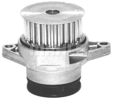 Water Pump, engine cooling (WG2181518)