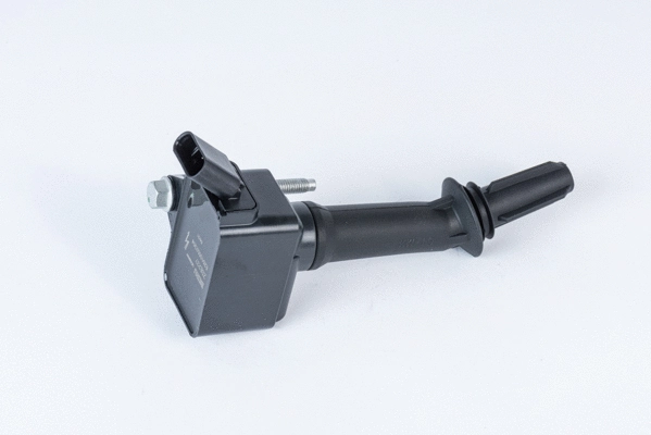 Ignition Coil (WG2189315)