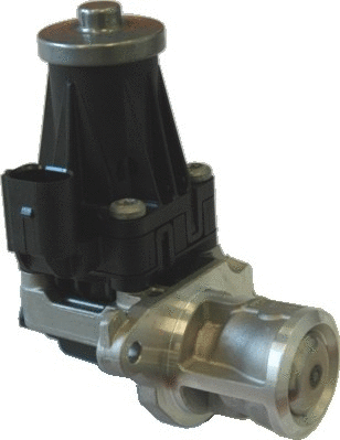 EGR Valve (WG1015280)