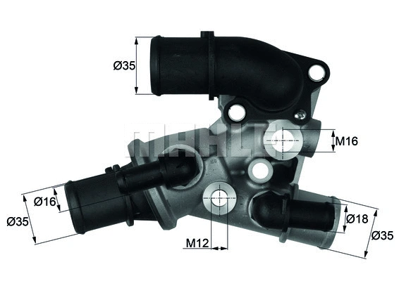 Thermostat, coolant (WG1217568)