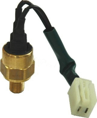 Temperature Switch, coolant warning lamp (WG1748921)