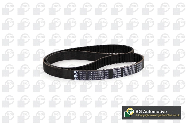 Timing Belt (WG2258668)