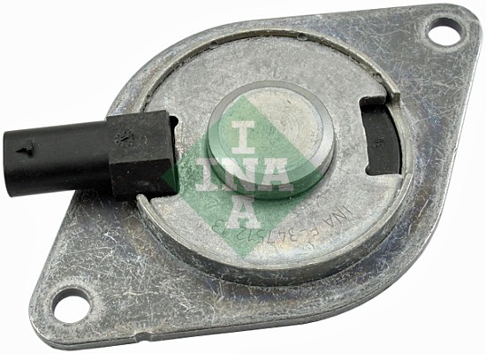 Central Magnet, camshaft adjustment (WG1746123)