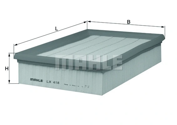 Air Filter (WG1216494)