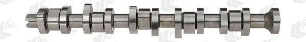 Camshaft (WG1093075)