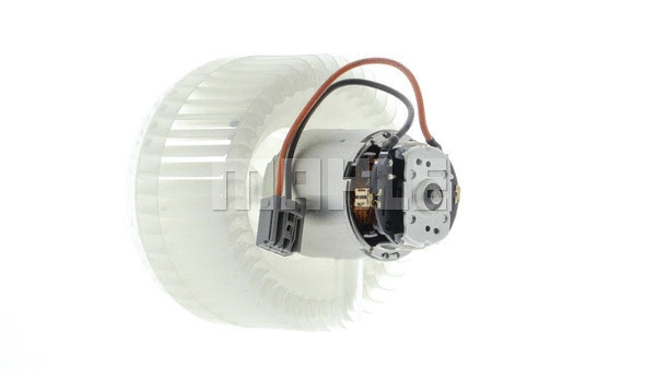 Interior Blower