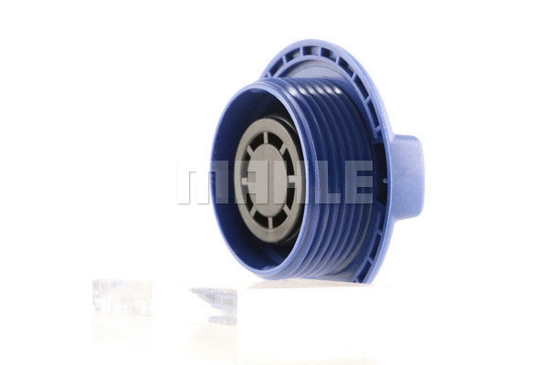 Cap, coolant tank