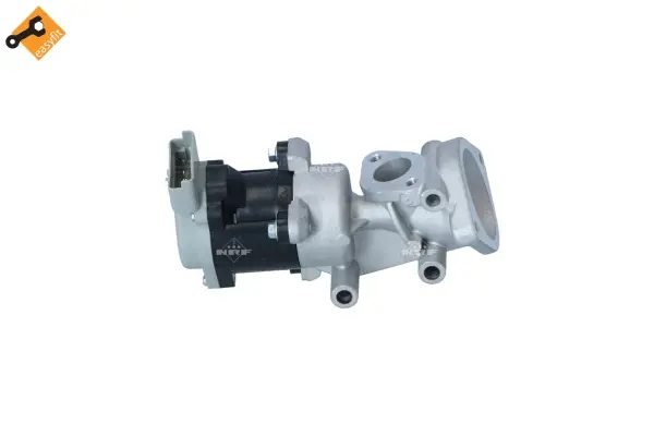 EGR Valve (WG2161862)