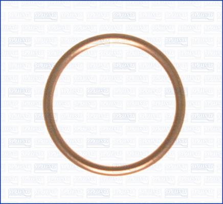 Seal Ring, oil drain plug (WG1163675)