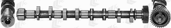 Camshaft (WG1462577)