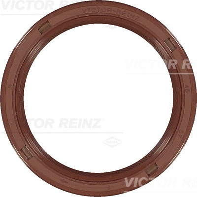 Shaft Seal, camshaft (WG1250069)