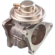 EGR Valve (WG1899120)