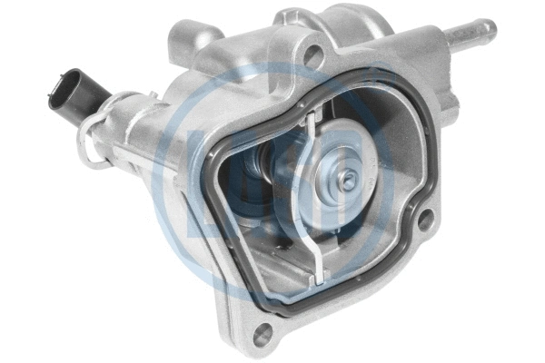 Thermostat, coolant (WG1804306)