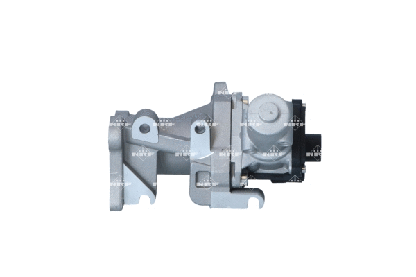 EGR Valve (WG2184509)