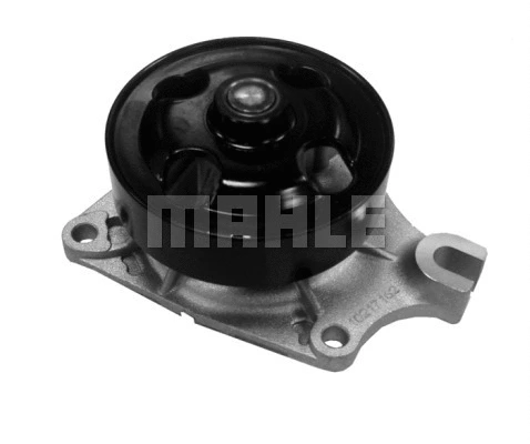 Water Pump, engine cooling (WG2181704)
