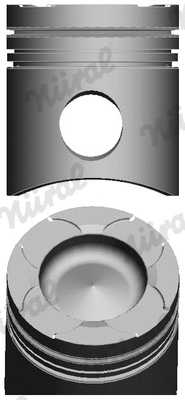 Piston (WG1175098)