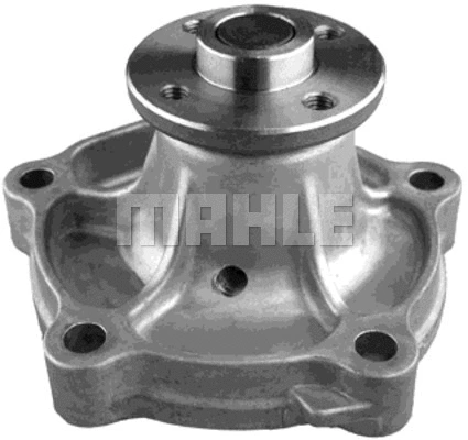 Water Pump, engine cooling (WG2181693)