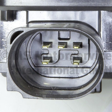 EGR Valve (WG2294855)