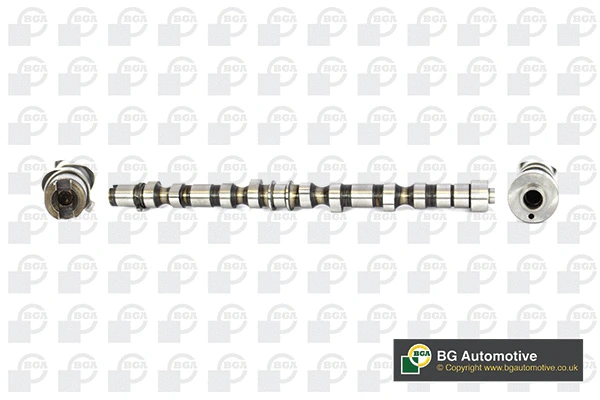 Camshaft (WG1490624)