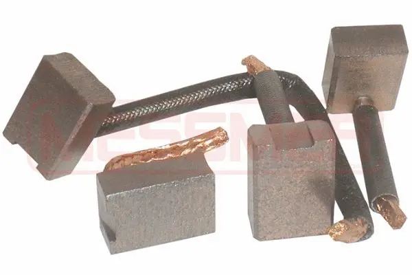 Carbon Brush, starter (WG2013667)