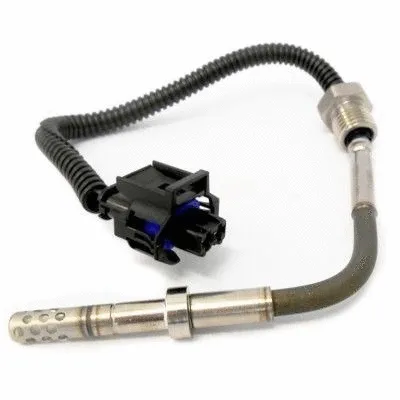 Sensor, exhaust gas temperature (WG1407225)