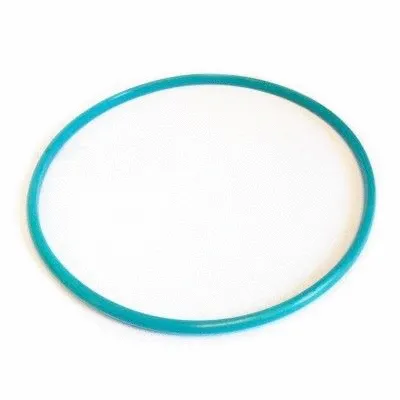 Seal, fuel tank cap (WG2263612)