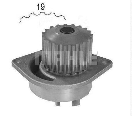 Water Pump, engine cooling (WG2181889)