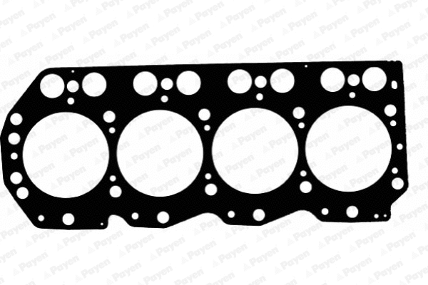 Gasket, cylinder head (WG1177526)