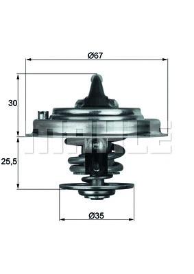 Thermostat, coolant (WG1262735)
