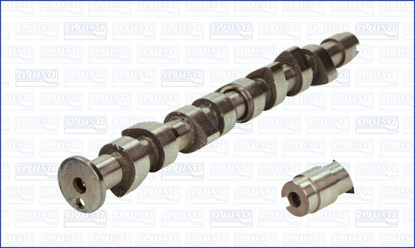 Camshaft (WG1456638)