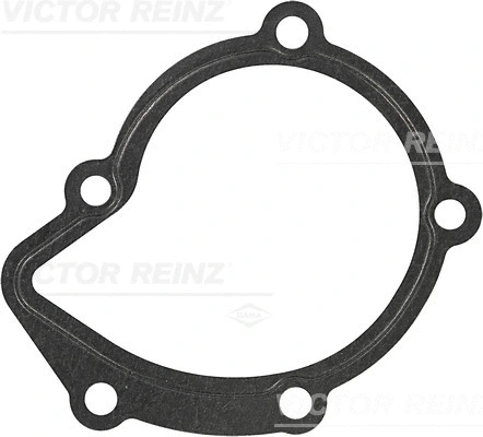 Gasket, water pump (WG1245922)