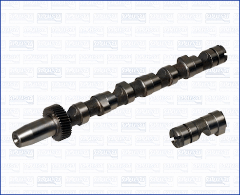 Camshaft (WG1456646)