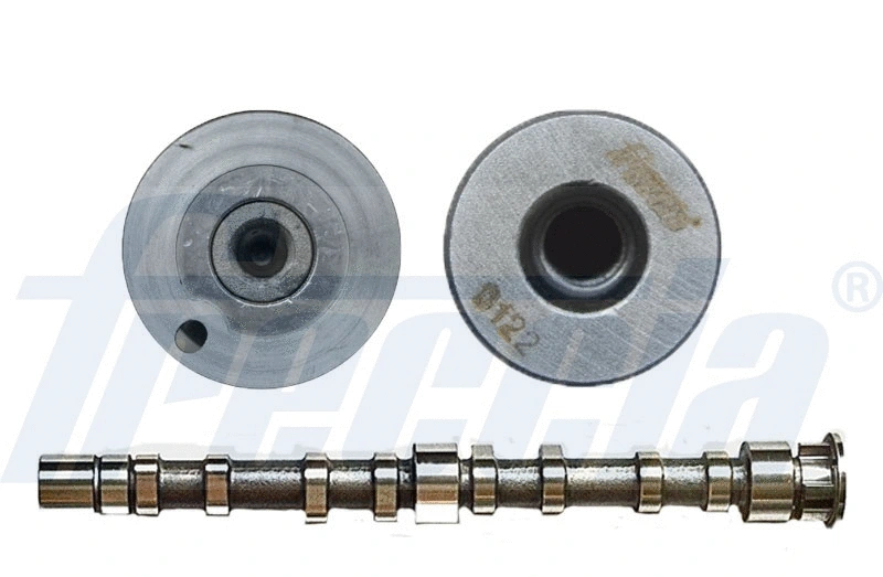 Camshaft (WG1814739)
