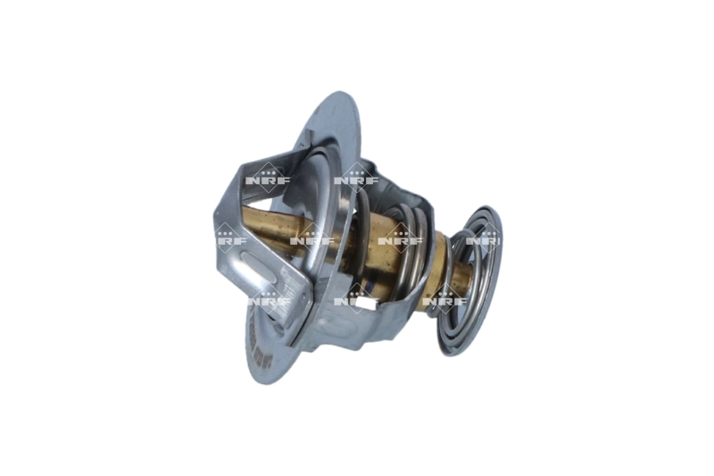 Thermostat, coolant (WG2261194)