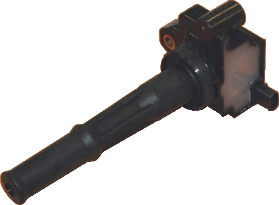 Ignition Coil (WG1012243)