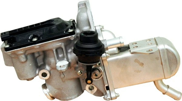 EGR Valve (WG1015330)