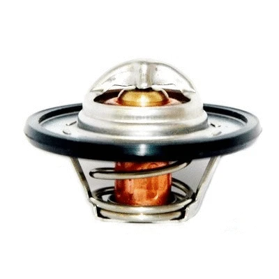Thermostat, coolant (WG1409341)