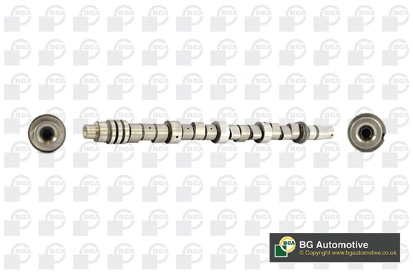 Camshaft (WG1490504)