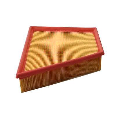Air Filter (WG2111869)