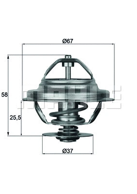 Thermostat, coolant (WG1262710)