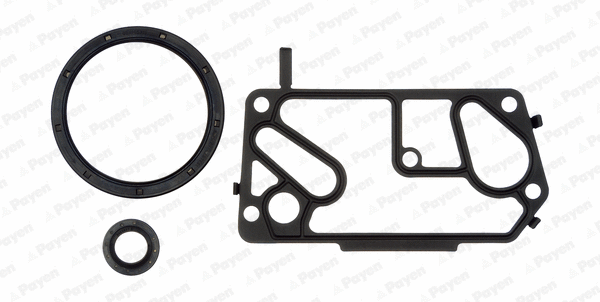Gasket Kit, crankcase (WG1180039)