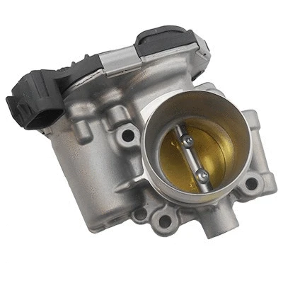 Throttle Body (WG1838185)