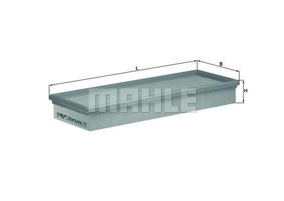 Air Filter (WG1216756)