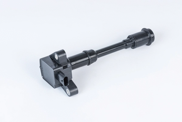 Ignition Coil (WG2112946)