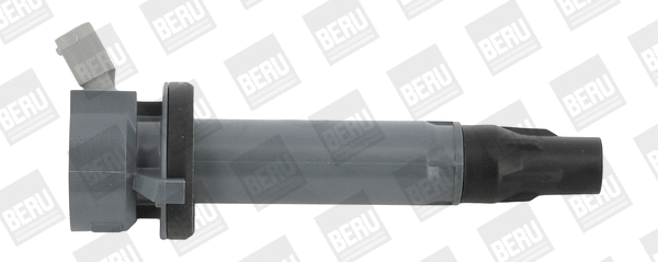 Ignition Coil (WG1940725)