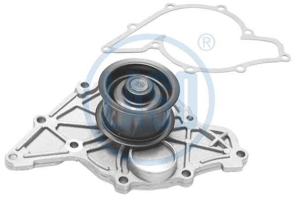 Water Pump, engine cooling (WG1709906)