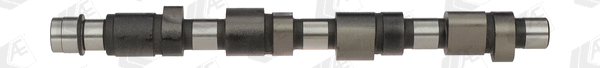 Camshaft (WG1171893)